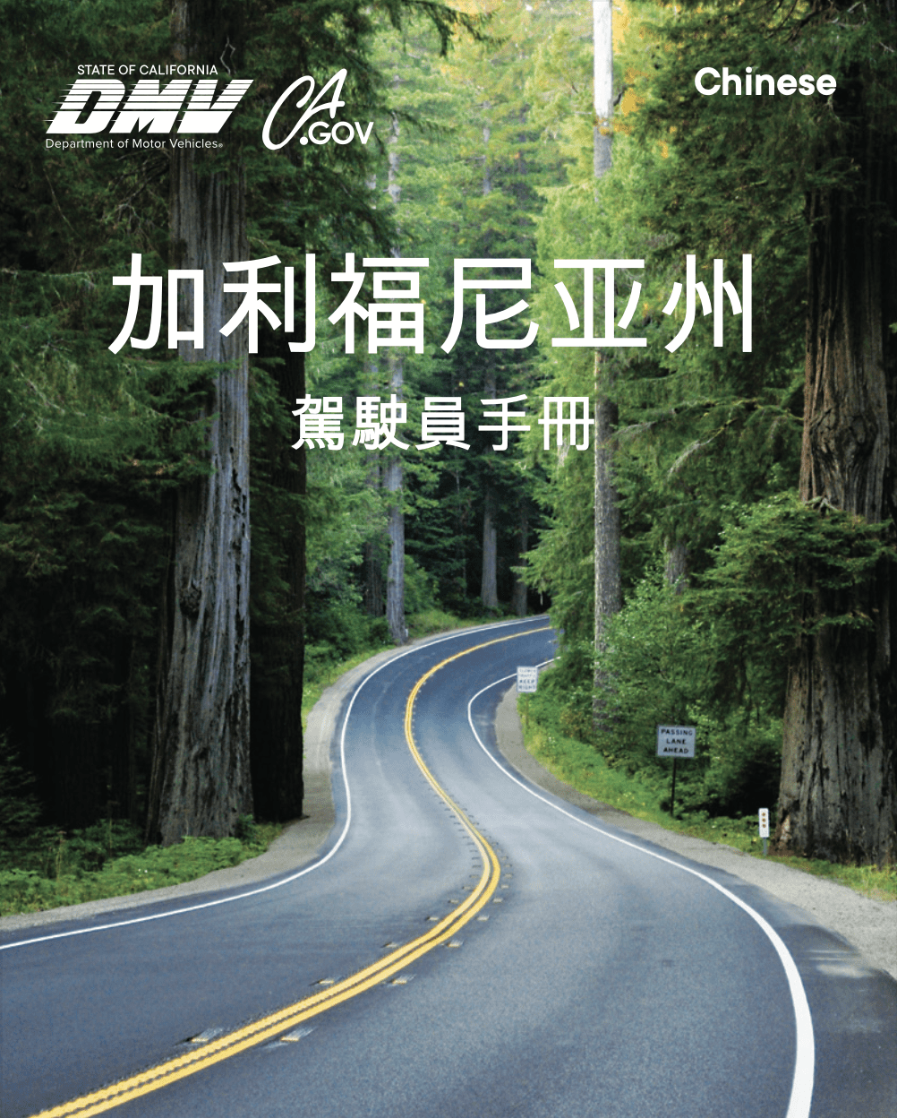 Chinese driver's manual